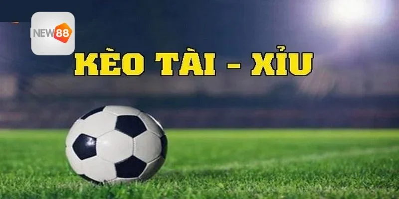 Sự phổ biến của tỷ lệ bàn thắng trong từng trận đấu